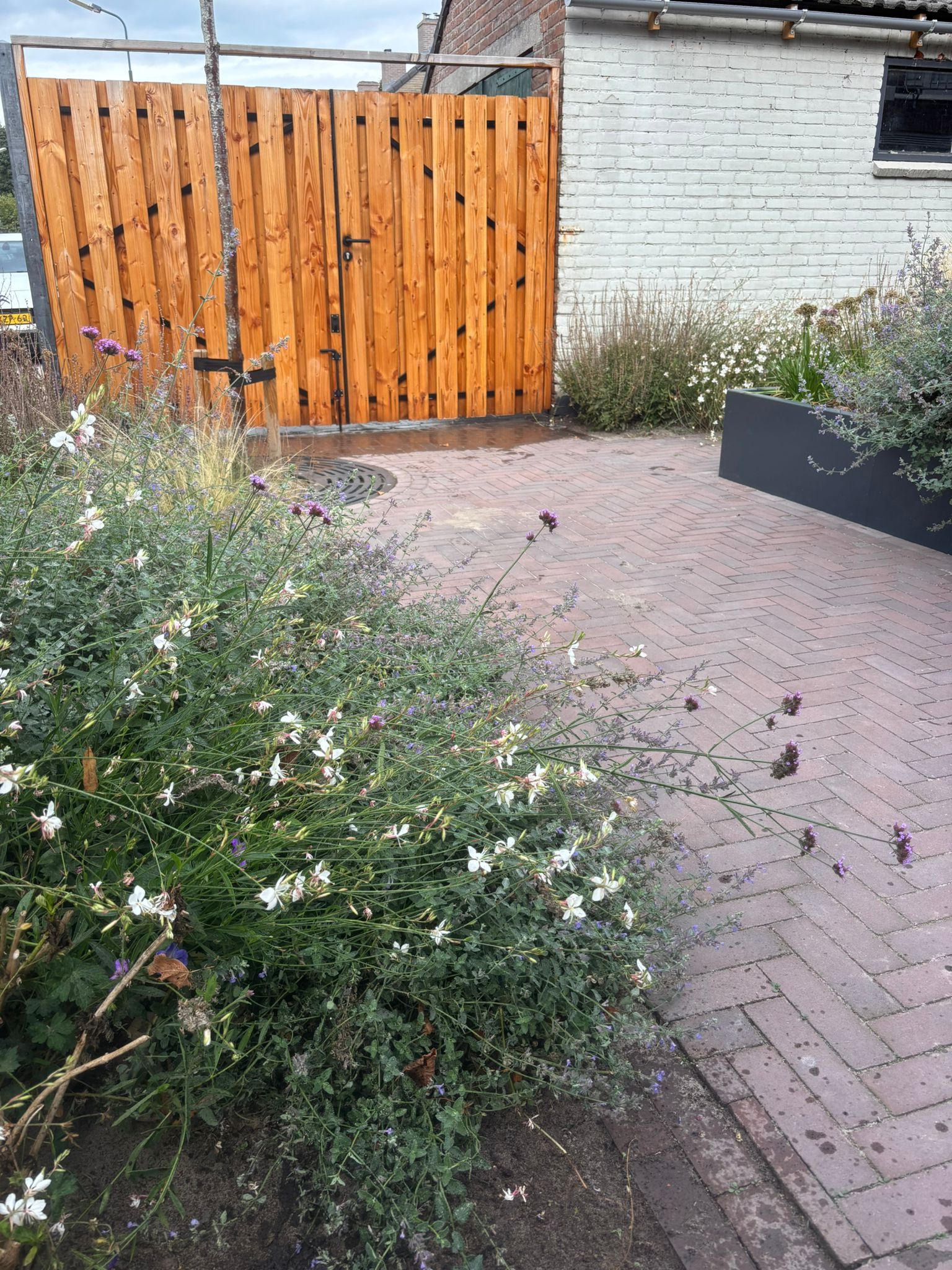 Tuinproject Project Teteringen — Randolfi Garden