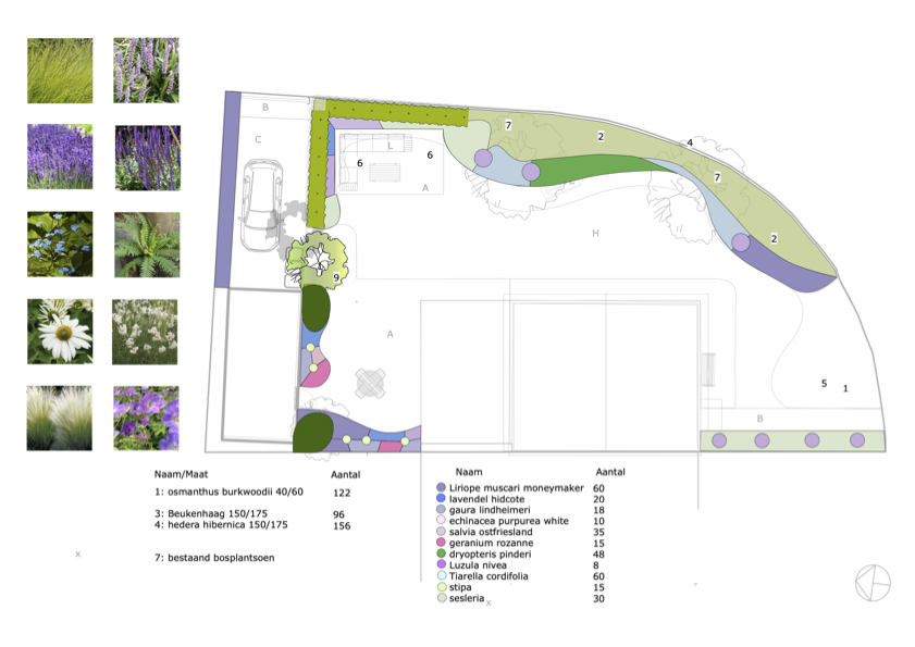Technisch tuinplan met beregening — Randolfi Garden